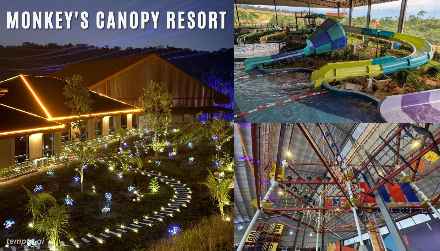 Monkey's Canopy Resort